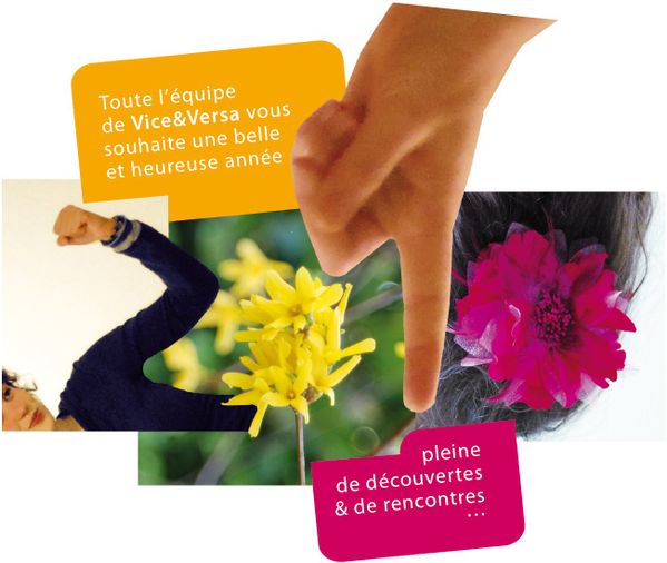 voeux2010