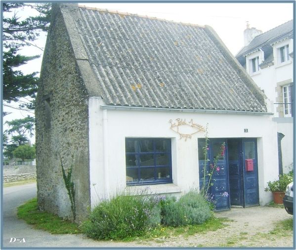 095-copie-1.JPG