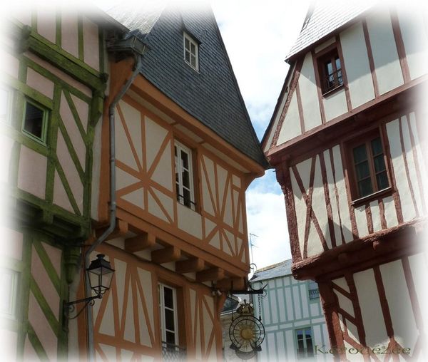vannes [800x800]