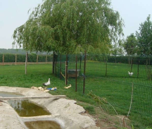 DSC06236