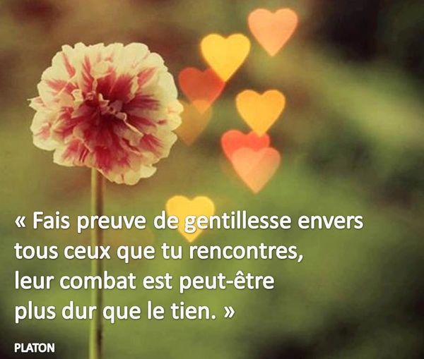 Dans la vie tu fais des rencontres