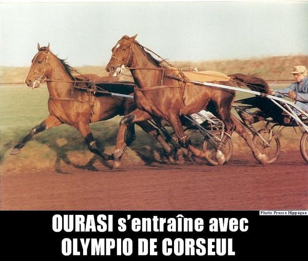 Ourasi---Olympio-de-Corseul-numerisation0026.jpg