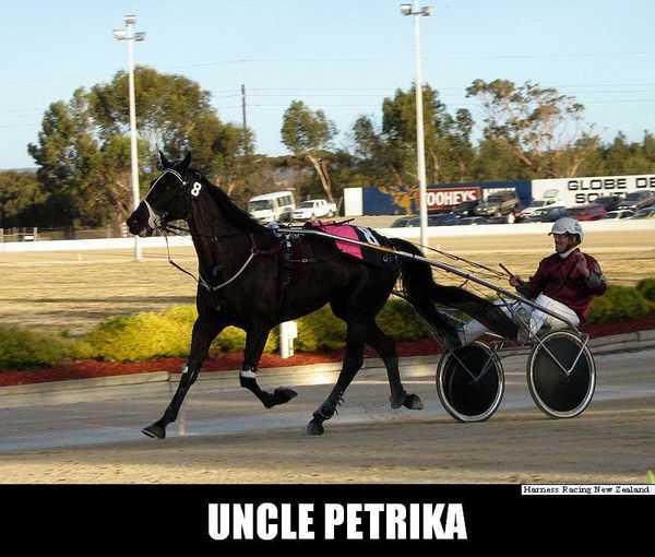 Uncle-Petrika-_-28harness_racing-trotter-29-1-.jpg