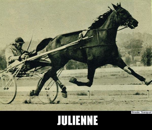 Julienne-01-copie-1.jpg