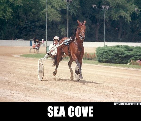 Sea-Cove-0001.jpg