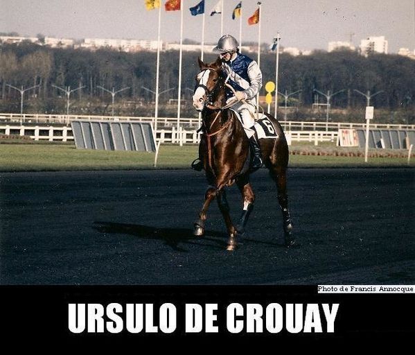 Ursulo-de-Crouay-02.JPG