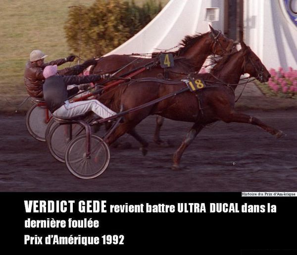 Verdict-Gede-revient-battre-Ultra-Ducal.jpg