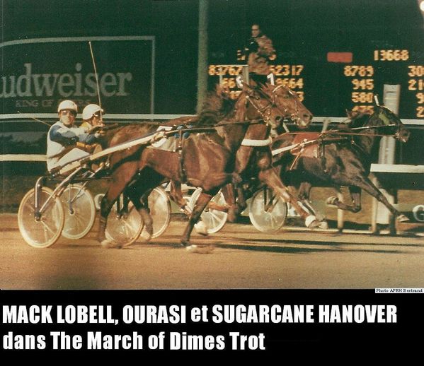 Mack Lobell, Ourasi et Sugarcane Hanover dans The March of