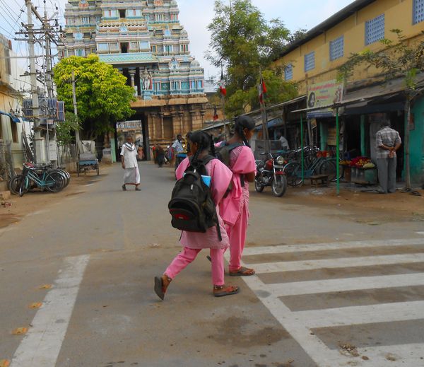 Inde du Sud Janvier Février 2014 908