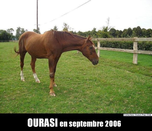 Ourasi-zp-septembre-2006.jpg
