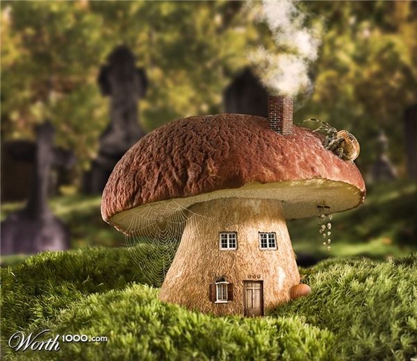 Des créatures magiques exceptionnelles 1 /Titia Champignon