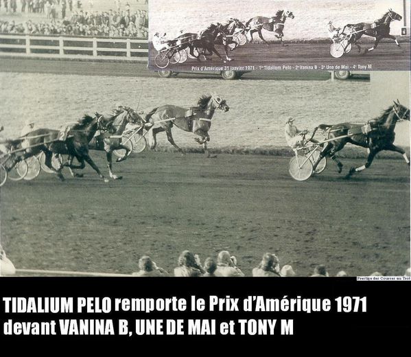Tidalium-Pelo-remporte-le-Prix-d-Amerique-1971-devant-Vanin.jpg