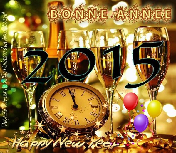 bonne-annee_041.jpg