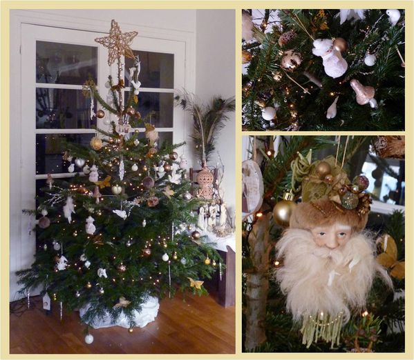 Sapin 2011