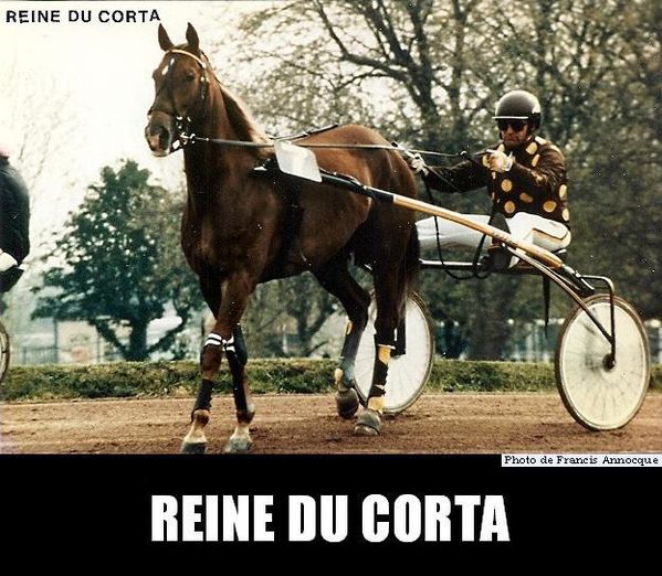Reine-du-Corta-numerisation0008.jpg