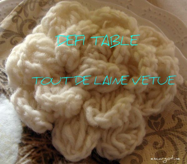 2011-03-15 table laine - photos salon - table chocolat 019