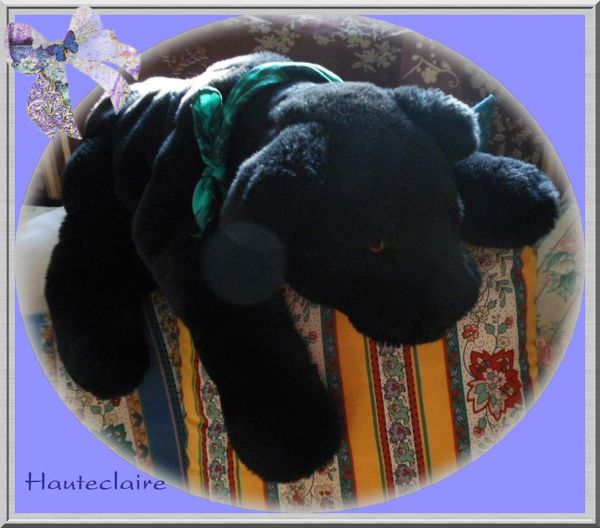 doudou.jpg