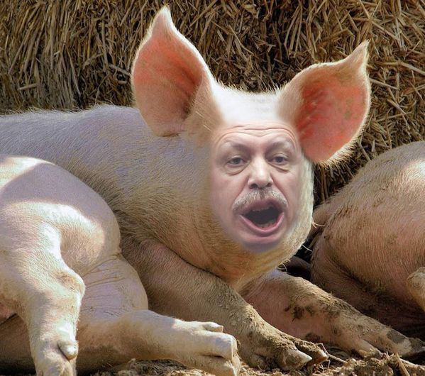 Recep-Tayipp-Erdogan-1.jpg