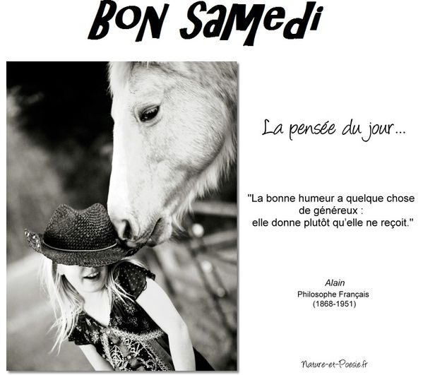 Citation Du Jour Papillon En Cuisine