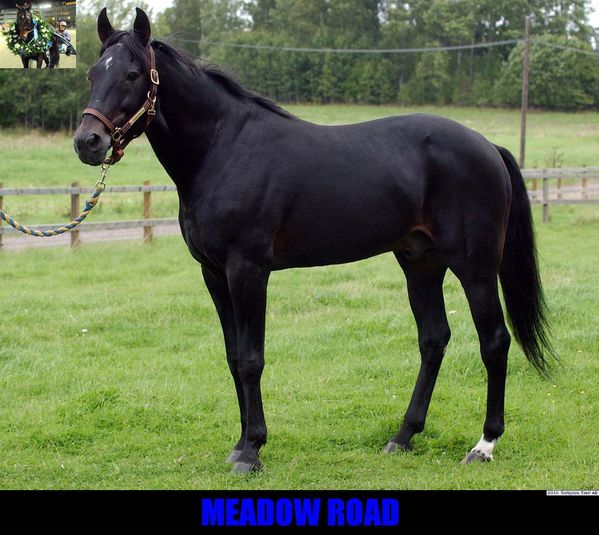 Meadow-Road--up-4-1-.jpg