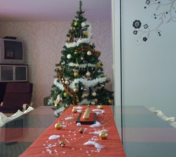 P1070550.JPG