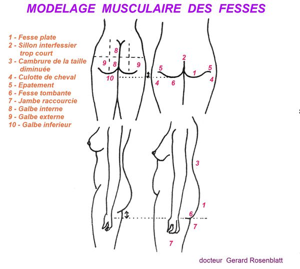 fessier-copie-1