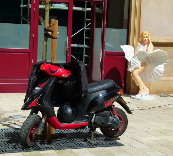 P1000311.JPG