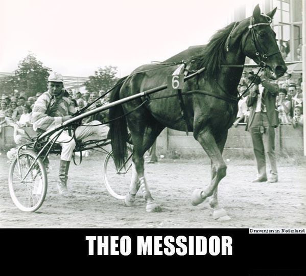 Theo-Messidor--2-.jpg