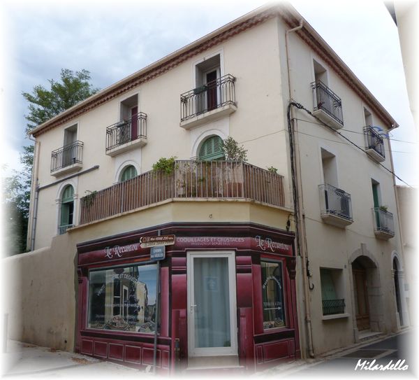 bouzigues-5.JPG