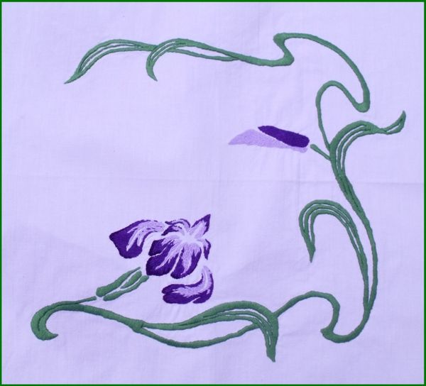 iris-2.jpg