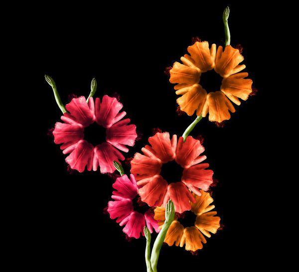 fleurs femmes Cecelia Webber (2)