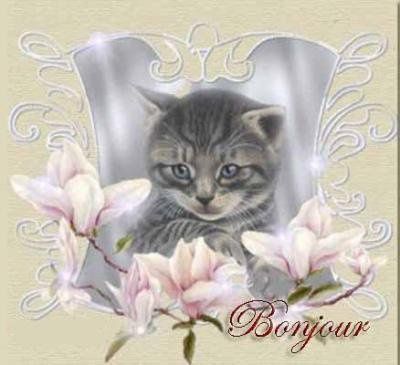 bonjour1983c451.jpg