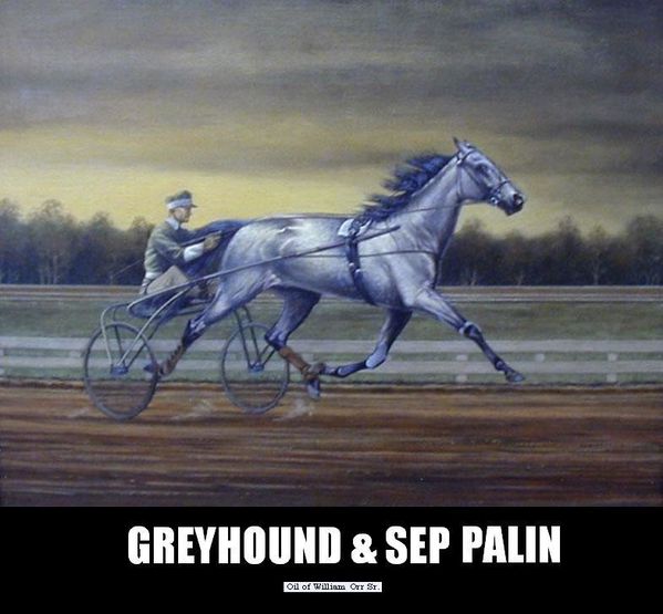 Greyhound & Sep Palin[1]
