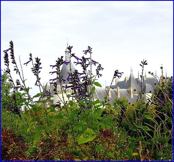 chaumont-chateau-s.jpg