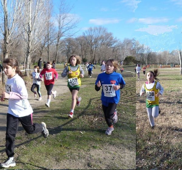 3-cross départemental poussines