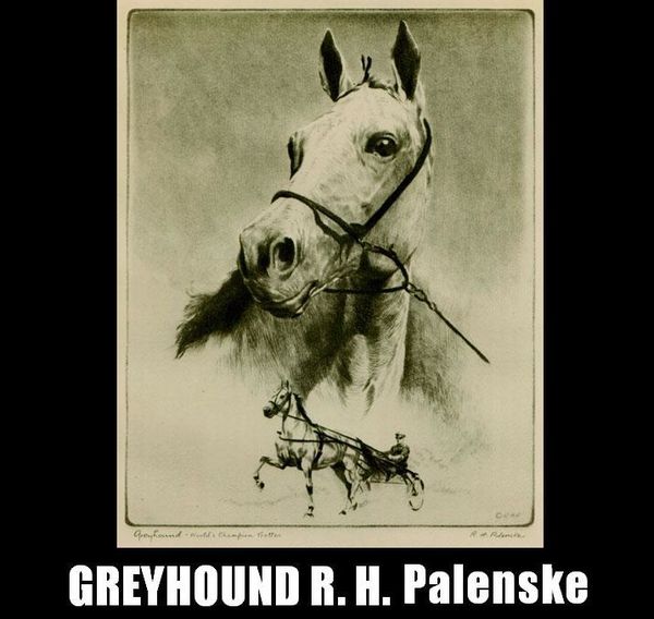 Greyhound-R.-H.-Palenske-copie-1.jpg