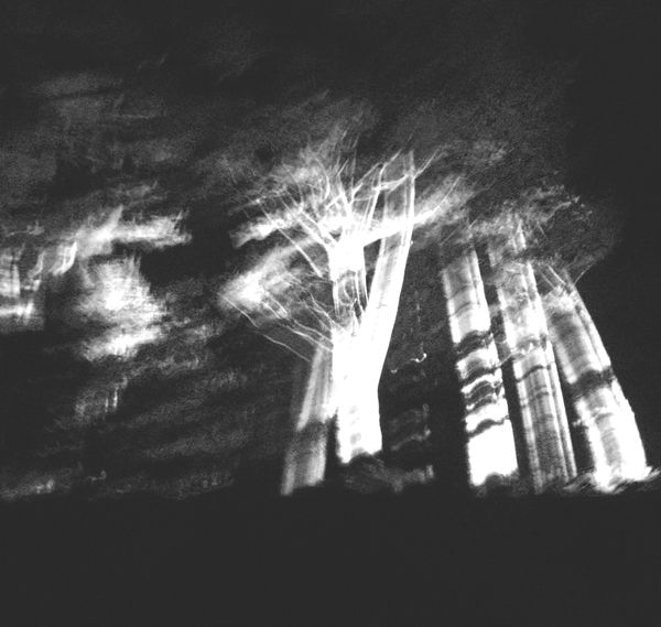 maulevrier-arbres.jpg