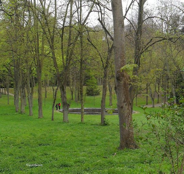 dans-les-bois-en-rouge.jpg