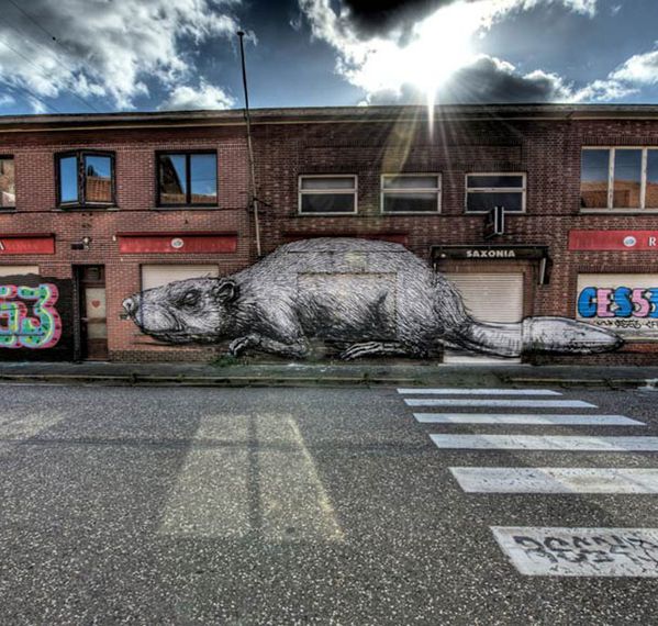 doel2.jpg