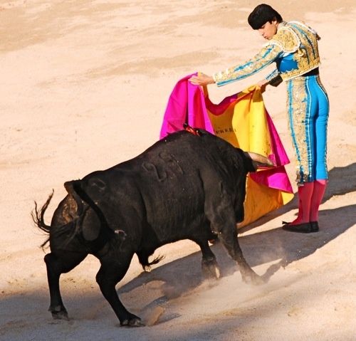 parera-parar-copie-2.jpg