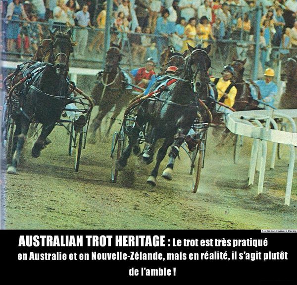 Australian-Trot-Heritage.JPG