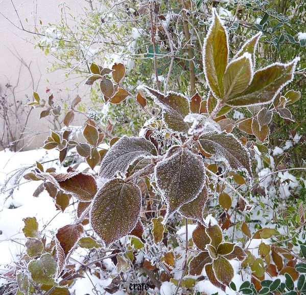 decembre-2010-281.jpg