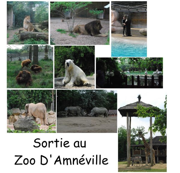 zoo-sortie.jpg