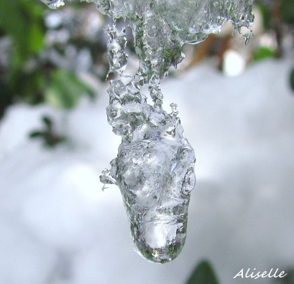 Goutte-glacee-2010--5.jpg