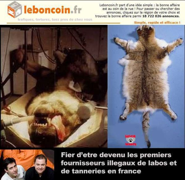 tanneries-petition-contre-la-vente-animaux-sur-le-bon-coin-.jpg