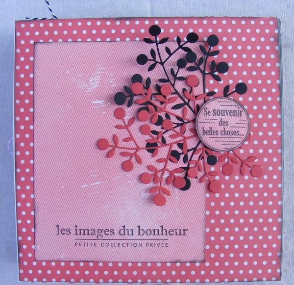 DSCF0237--Copier-.JPG