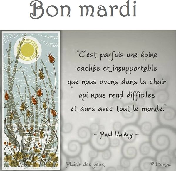 Citation du jour Papillon en cuisine