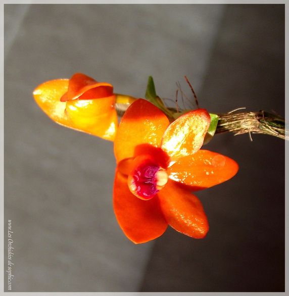 DSCF3915.JPG