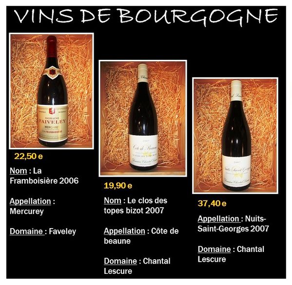 vins de bourgogne-copie-1