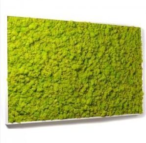cadre-vegetale-vert.JPG